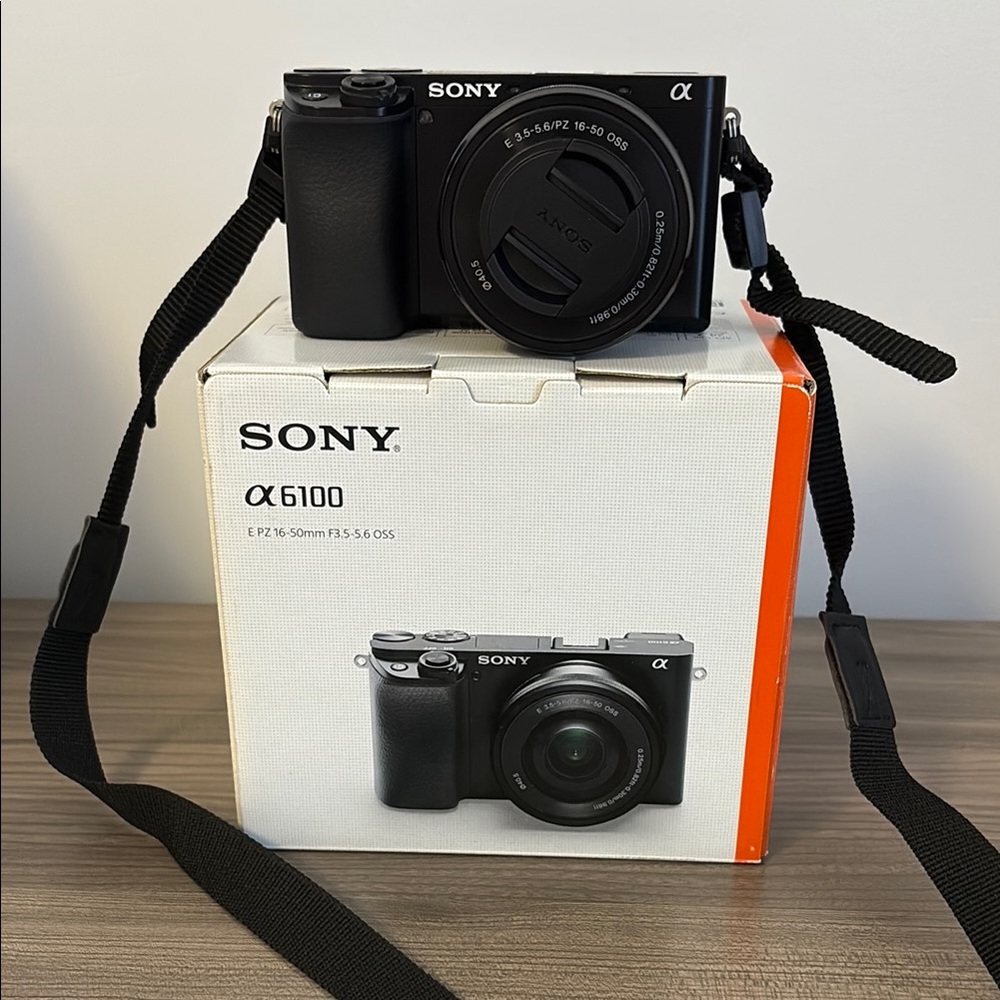 Sony Alpha 6100 Black Digital Camera